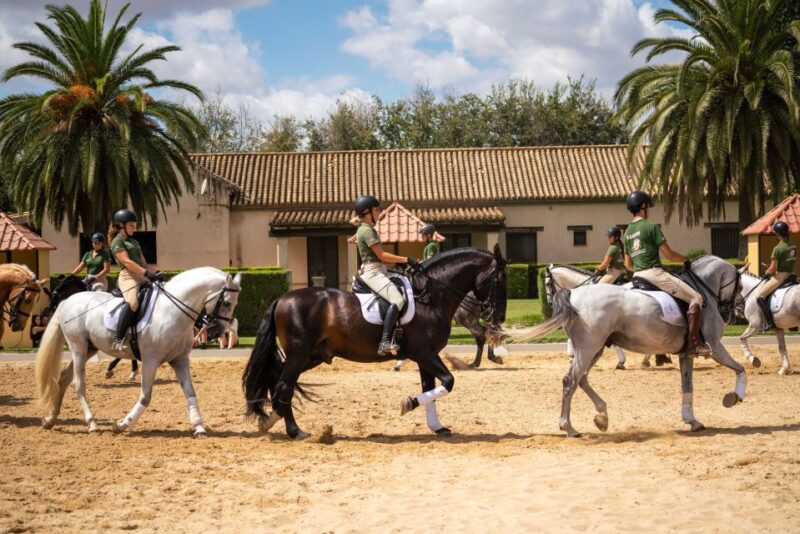 Seville: Horses Show Entry Ticket. Optional Stud Farm Visit - Additional Information