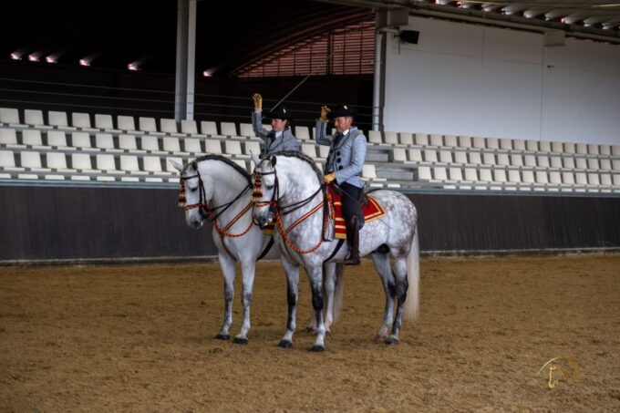 Seville: Horses Show Entry Ticket. Optional Stud Farm Visit - Tour Duration and Options