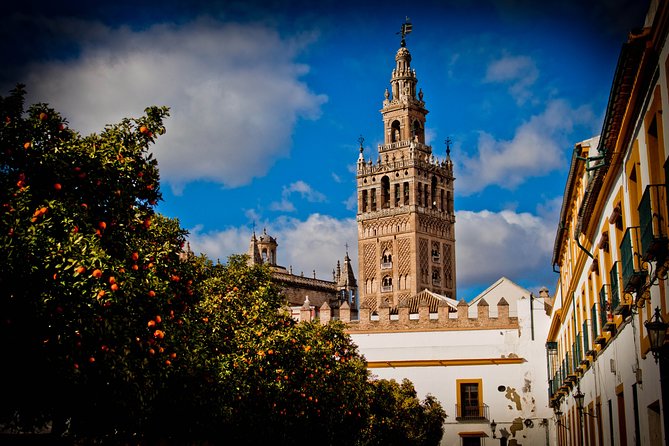 Seville in a Day: Private Tour Vip - Comfortable and Accessible Transportation