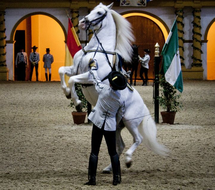 Seville: Jerez and Cadiz Wine Tasting & Horse Show Day Trip - The Equestrian Art Show