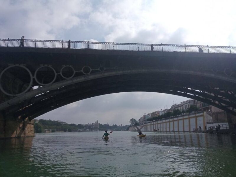 Seville: Kayak Rental - Customer Feedback and Ratings
