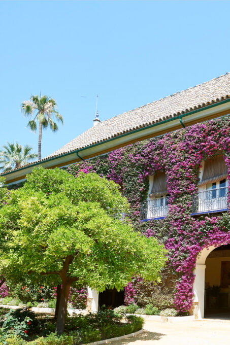 Seville: Las Dueñas Palace Ticket and Audioguide - Frequently Asked Questions