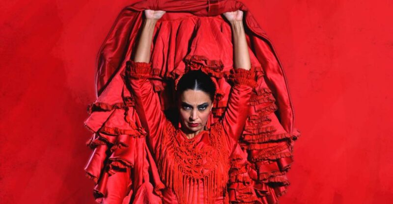 Seville: Live Flamenco Dancing Show Ticket at the Theater - Experience Overview