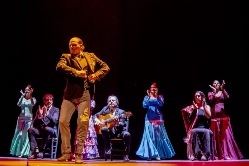 Seville: Live Flamenco Dancing Show Ticket at the Theater - Venue and Accessibility