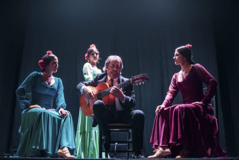 Seville: Live Flamenco Dancing Show Ticket at the Theater - First-time Visitor Tour