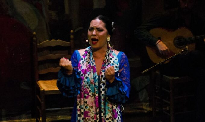 Seville: Live Flamenco Show at Teatro Flamenco Triana - Show Inclusions