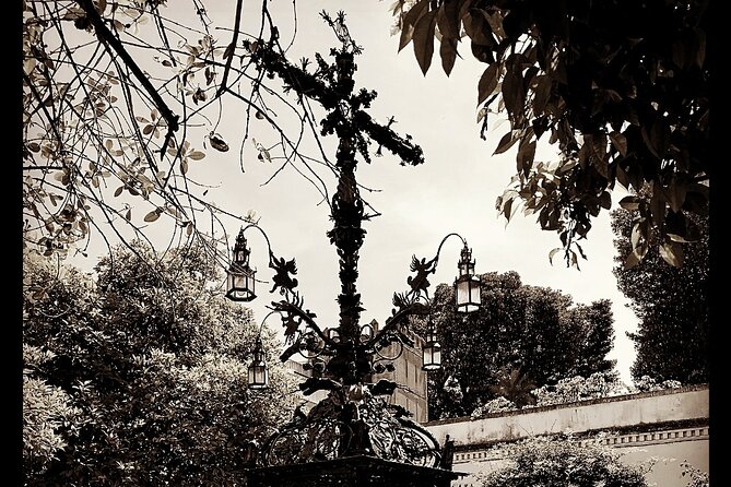 Seville: Love At First Sight" Private Tour - Touring the University of Seville