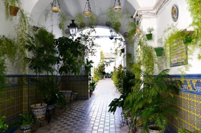 Seville: Off the Beaten Path & Market Walking Tour - Discovering Local Neighborhoods