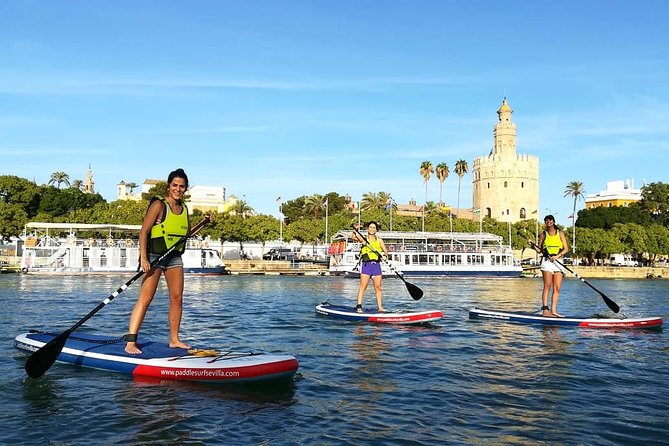 Seville: Paddle Surf Route and Class - Public Transportation and Accessibility