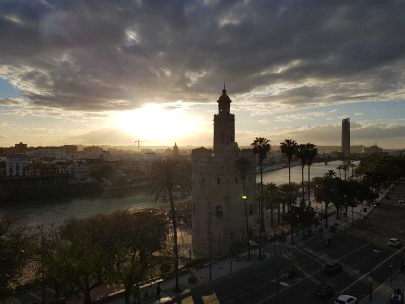 Seville: Paella Showcooking Experience - Insights Into Spanish Cuisine and Culture