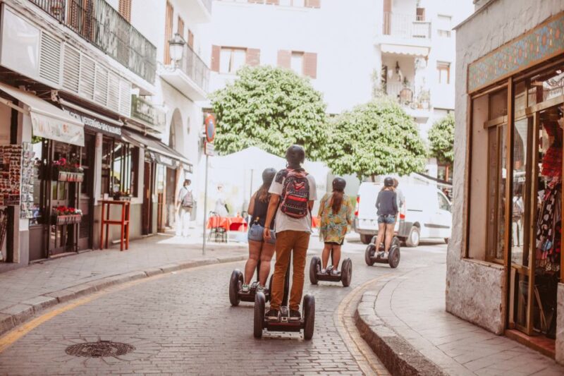 Seville: Panoramic Segway Shared or Private Tour - Segway Safety and Operation
