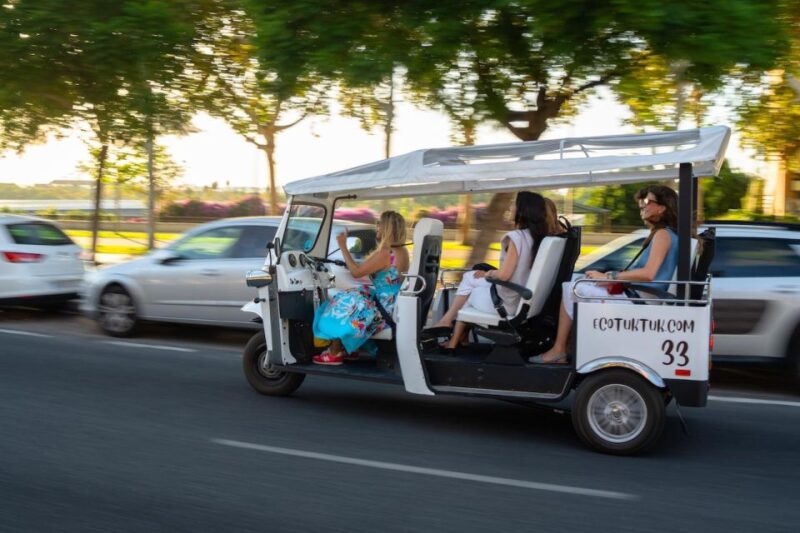 Seville: Private City Tour by Eco Tuk Tuk - Key Points