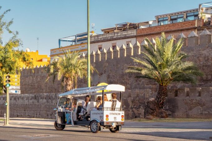 Seville: Private City Tour by Eco Tuk Tuk - Highlights of the Tour