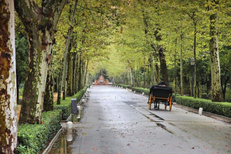 Seville: Private E-Bike City Highlights Tour - Discover Triana Neighborhood