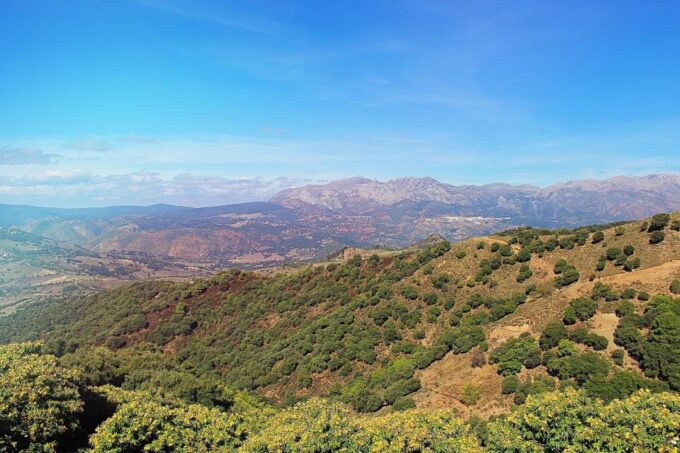 Seville: Private One-Way Transfer From Seville to Ronda - Frequently Asked Questions