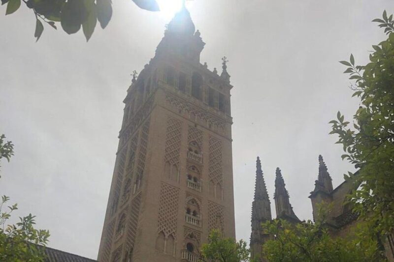 Seville: Private or Shared Group Highlights Walking Tour - Wandering Through the Barrio De Santa Cruz