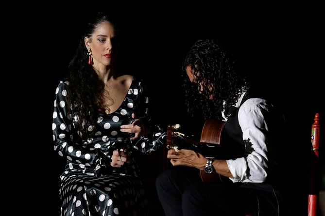 Seville Pure Flamenco Tour - Accessibility and Inclusions