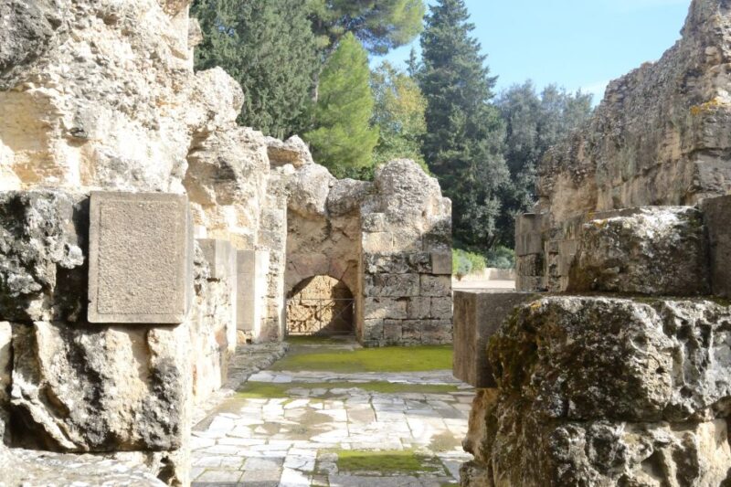 Seville: Roman City of Itálica 2.5-Hour Tour - Key Points