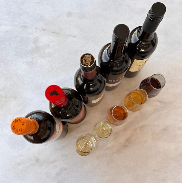 Seville: Sherry Wine Tasting With Light Snacks - Expert-Led Insights