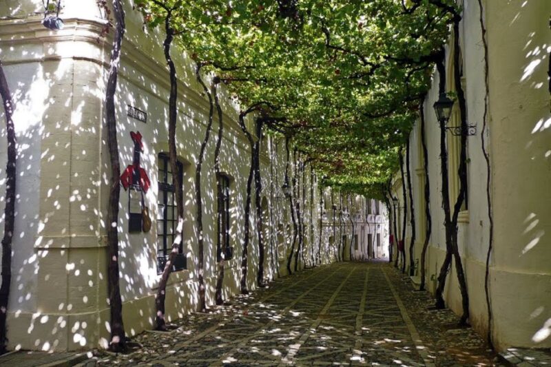 Seville to Jerez Private One-Way Transfer - Reservation Policies
