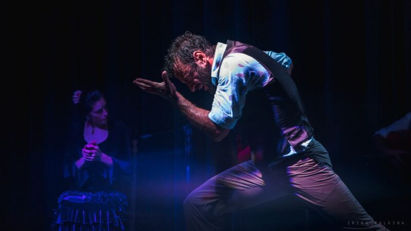 Seville: Traditional Flamenco Show in Triana - Highlights of the Experience