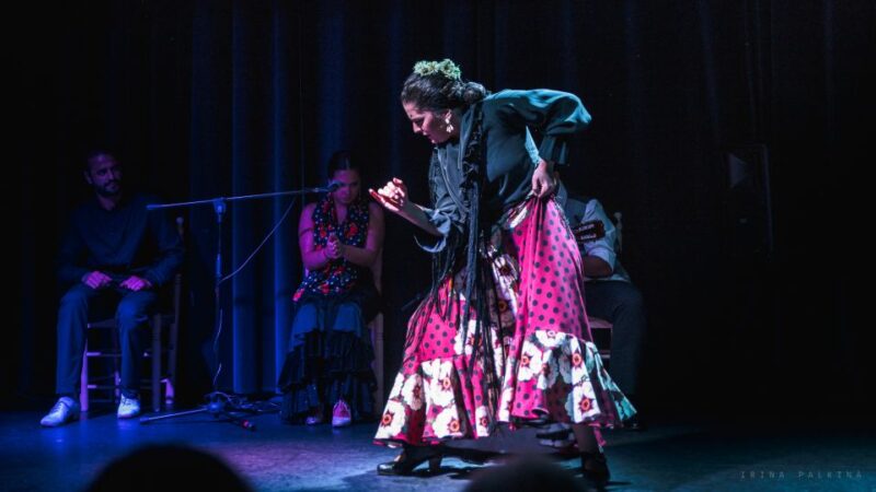 Seville: Traditional Flamenco Show in Triana - Features of the Flamenco Show