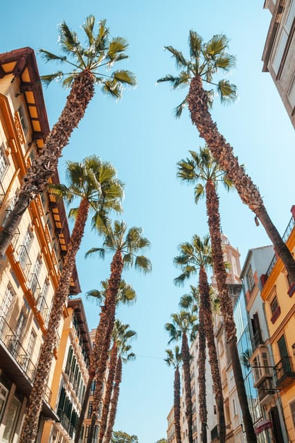 Seville: Transfer to Málaga With Visit to Ronda - Customer Experience and Feedback