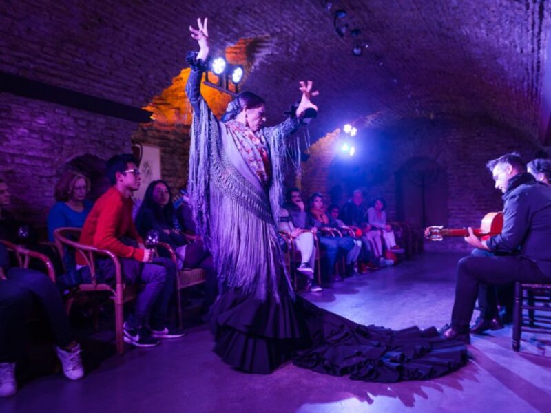 Seville: VIP Flamenco Show With Drink in an Arabic Vault - Show Highlights