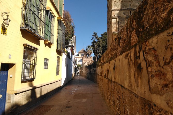Seville, Walk Through the Heart of the City - Uncovering Historical Landmarks