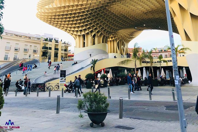 Seville With a View - Private Tour - Flexibility and Customization