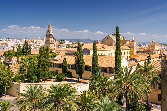 Seville's Royal & Gothic Splendors: Skip-The-Line Tour - Meeting and End Points