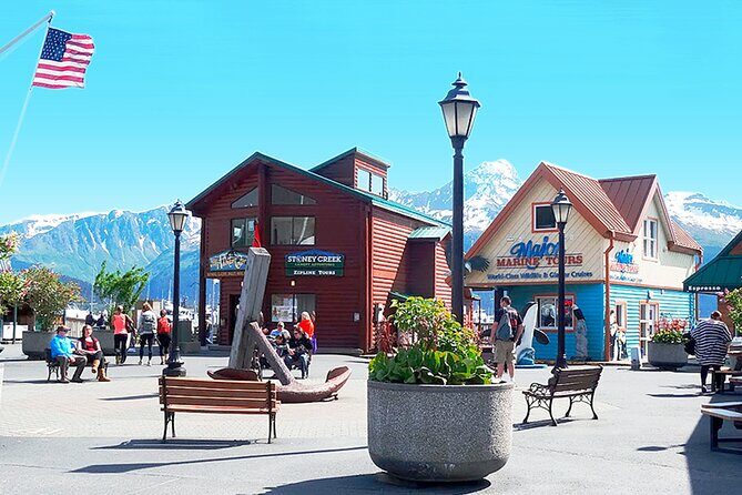 Seward Alaska City Tour and Glacier Viewing - Who This Tour Is Best For