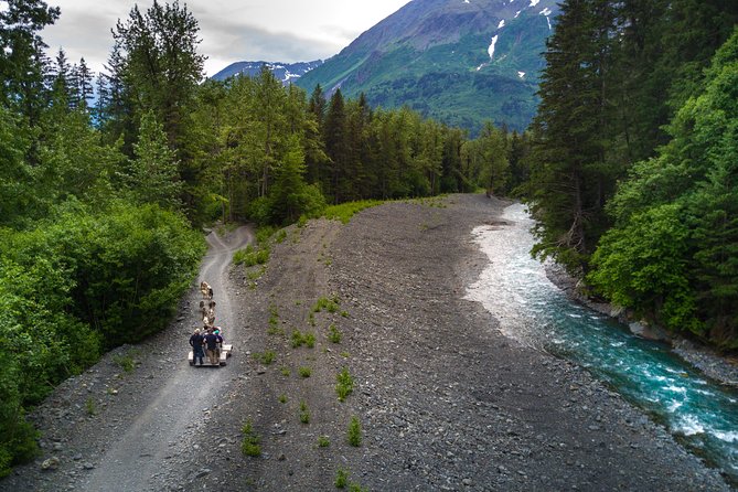 Seward and Kenai Fjords National Park Guided Tour With Lunch - Inclusions in the Tour