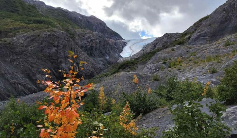 Seward: Exit Glacier Nature Hike with Scenic Views - Price and Value Perspective