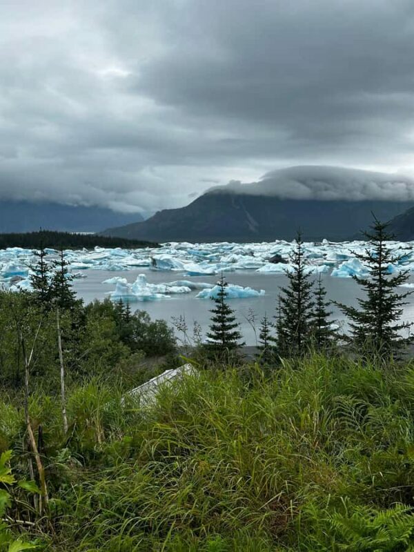 Seward: Grand View Tour - An Introduction to the Experience