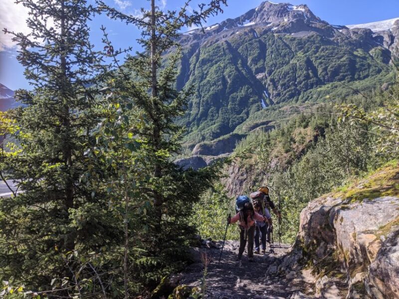 Seward: Guided Wilderness Hike With Transfer - Key Points