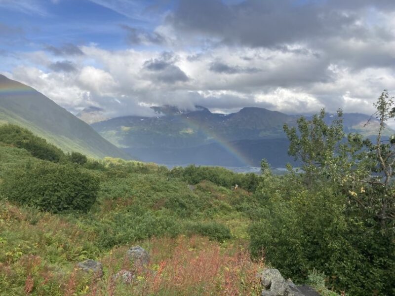 Seward: Guided Wilderness Hike With Transfer - Customer Feedback