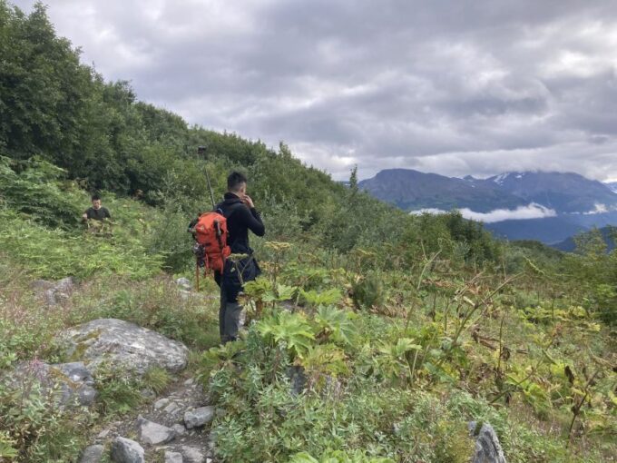 Seward: Guided Wilderness Hike With Transfer - Booking and Cancellation Policy
