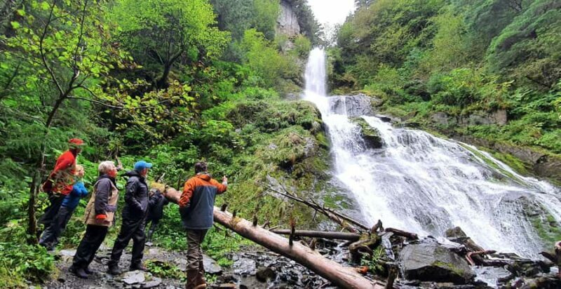 Seward: Kayak to Bridal Veil Falls with Lunch - Practical Details and Tips
