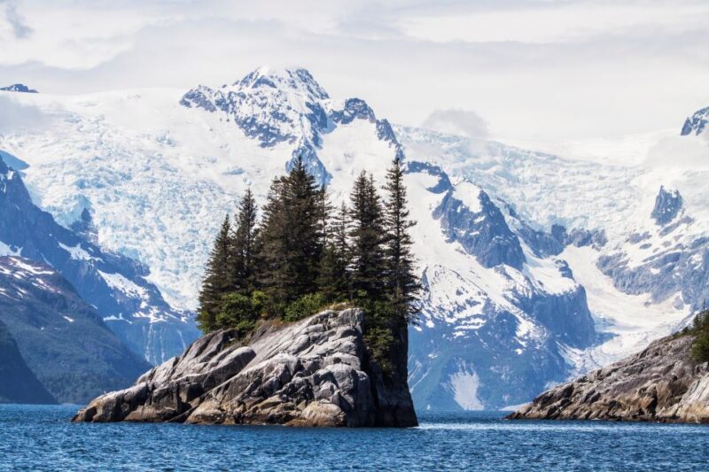 Seward: Kenai Fjords National Park 6-Hour Cruise - Cruise Highlights