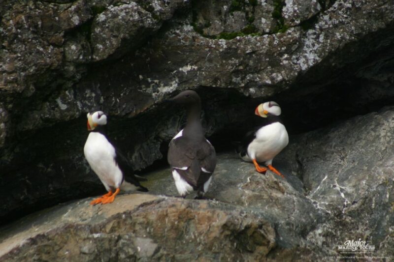 Seward: Kenai Fjords National Park Extended Cruise - Onboard Amenities