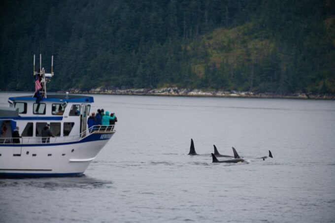 Seward: Kenai Fjords National Park Extended Cruise - Customer Reviews and Feedback
