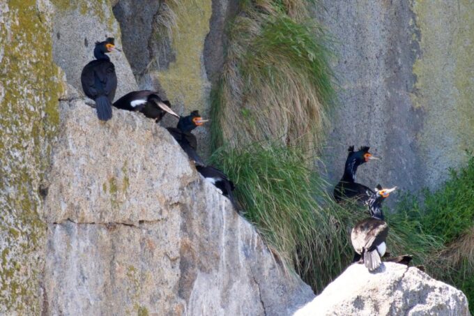 Seward: Kenai Fjords National Park Extended Cruise - Transportation and Shuttle Services