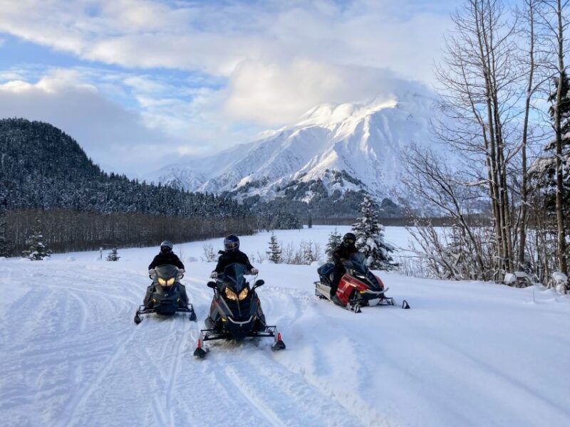 Seward: Kenai Fjords National Park Guided Snowmobiling Tour - Booking Information