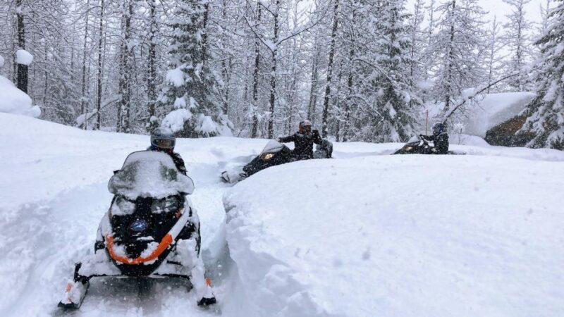 Seward: Kenai Fjords National Park Guided Snowmobiling Tour - Customer Reviews