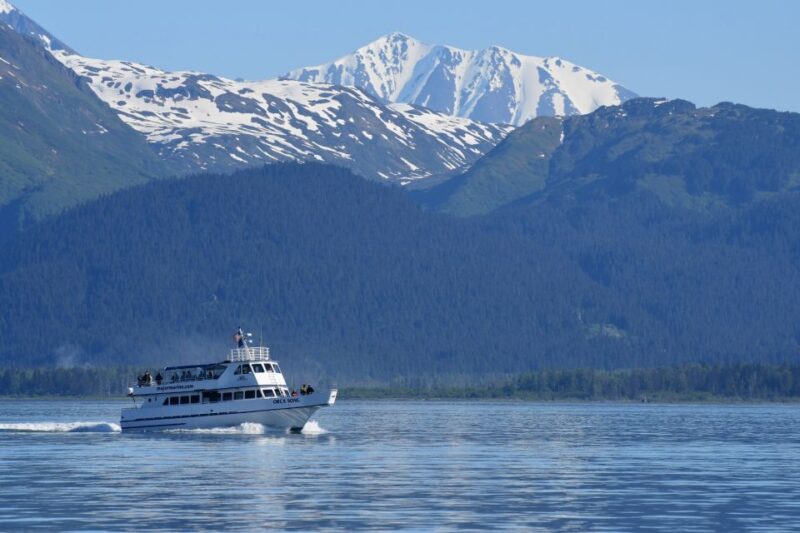 Seward: Resurrection Bay Orca Quest Cruise - Onboard Hydrophone and Audio