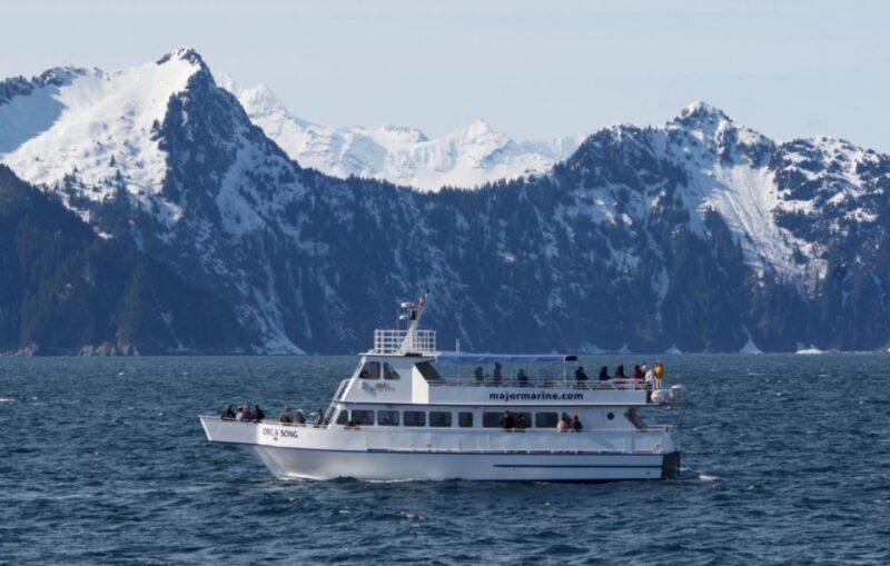 Seward: Spring Wildlife Guided Cruise - Wildlife Viewing Experience
