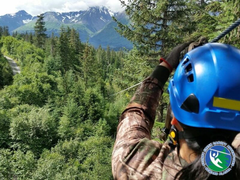 Seward: Stoney Creek Canopy Tour With Zipline - Key Points