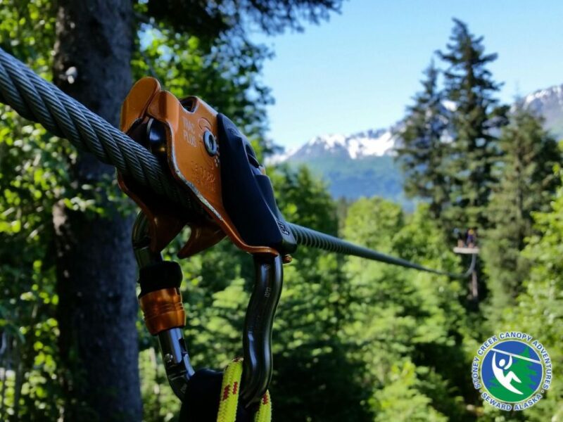 Seward: Stoney Creek Canopy Tour With Zipline - Activity Highlights