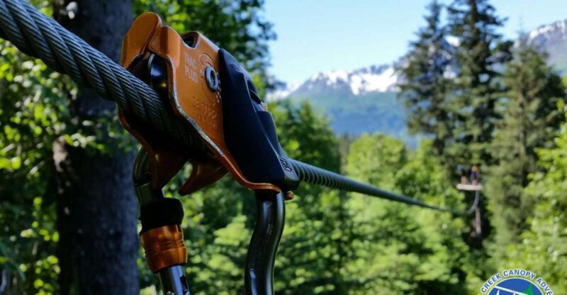 Seward: Stoney Creek Canopy Tour With Zipline - Departure Location